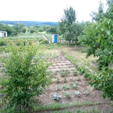 Продам дачу в Чугуевском районе