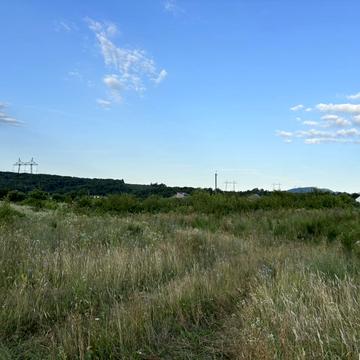 Підгірна