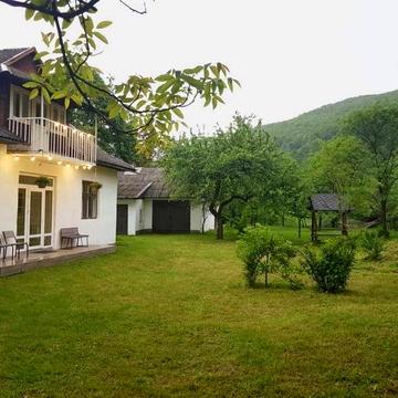 Будинок з гаражем, господарськими приміщеннями, як готовий бізнес чи д