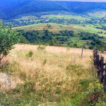 Вишка, Ужгородський, Закарпатська область 13000.0 USD