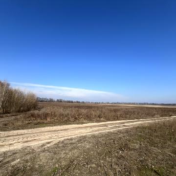 Леонтовича вул.