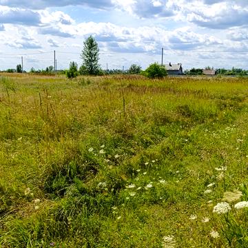 Козаровичі, Вишгородський, Київська область 8400.0 USD