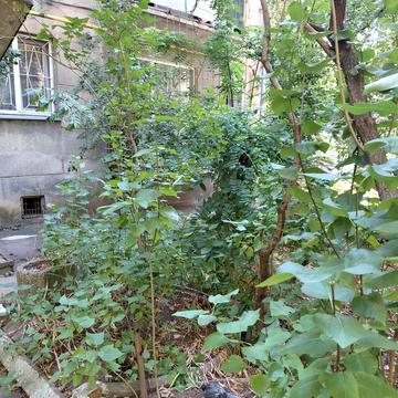 Довженка вул., 9