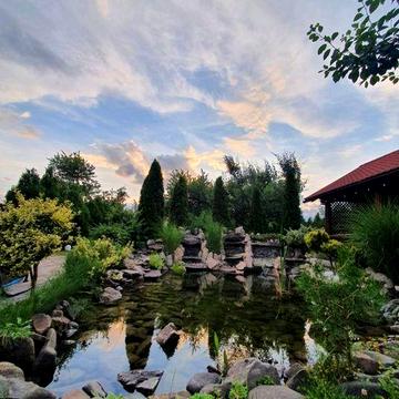 Продаж будинку біля лісу і озера