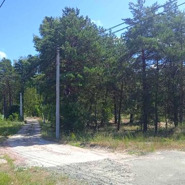 Пилява, Вишгородський, Київська область 800.0 USD