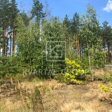 Ірпінь, Бучанський, Київська область 63000.0 USD