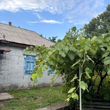 Подам приватний будинок в с. Салівка
