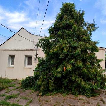 Продам дом в центре Рогани