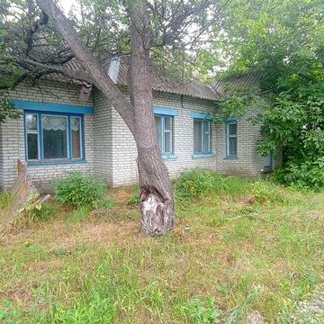 Продам будинок у селі