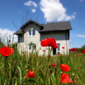 Шевченка, 63