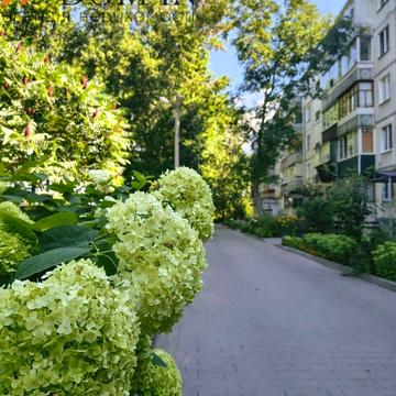 Котляревського вул., 2/7