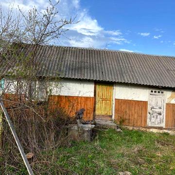 Продам будинок в мальовничому селі