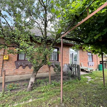 Зелена, 26