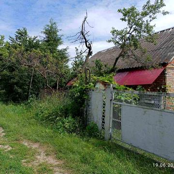Будинок в тихому від тривог місці. Сквира