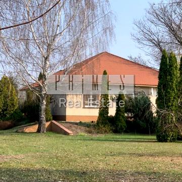 Центральна вул.