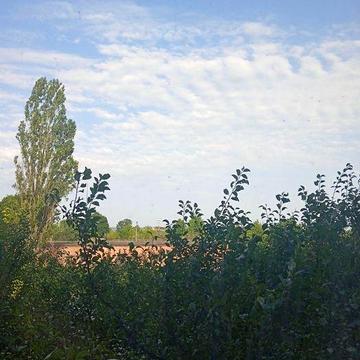 Дешево від власника