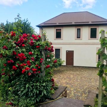 маяковского