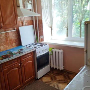 Оренда однокімнатної квартири, Виставка