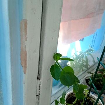 Продаж 3к Квартира Калинова вулиця
