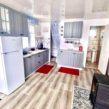 Будинок/ дача з меблями  с. Вільне, СТ "Тарасівське", Київська обл.