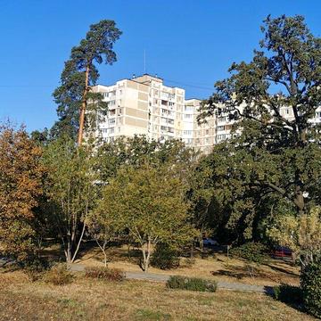Ореста Васкула (Федои Пушіної)