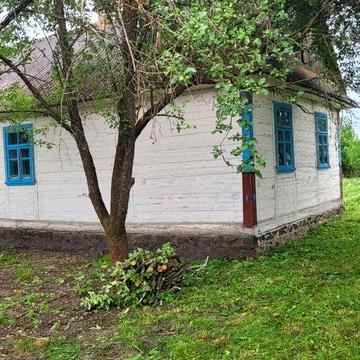 Продам  будинок в тихому селі