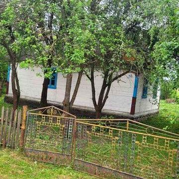 Продам  будинок в тихому селі