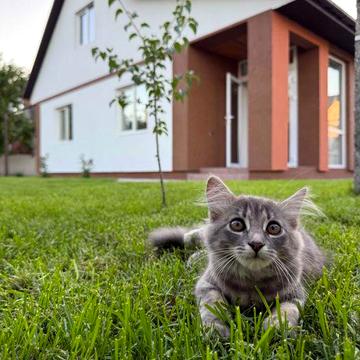 Новий будинок біля лугу з банею с. Будище- 20 хв до Черкас