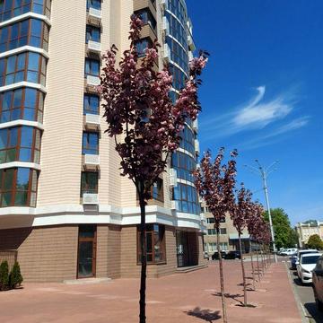 Продам 3-х кімнатну квартиру з ремонтом в елітній новобудові ЖК City Park