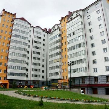 декабристів, 100