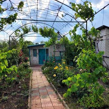 Продам дом-дачу в пригороде
