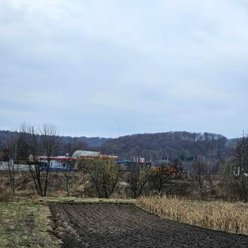 Чишки, Львівський, Львівська область 80000.0 USD
