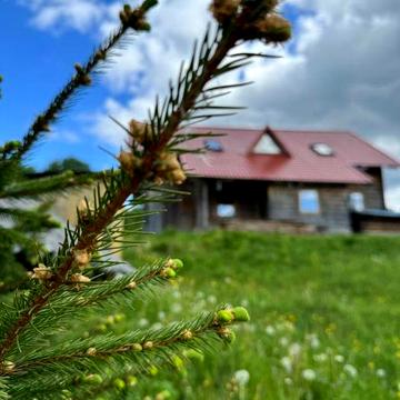 Будинок у мальовничому селі Космач