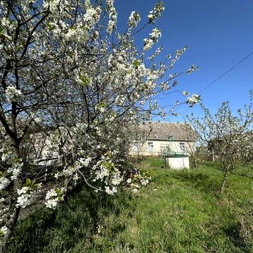 Продам будинок в мальовничому селі