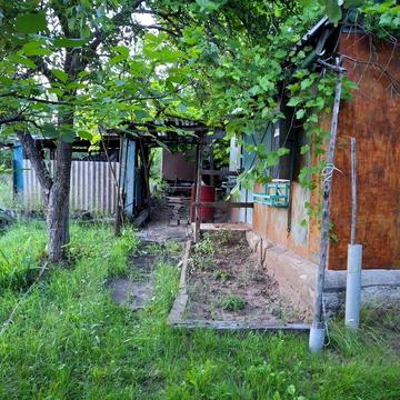 Продам дачу в садовом обществе