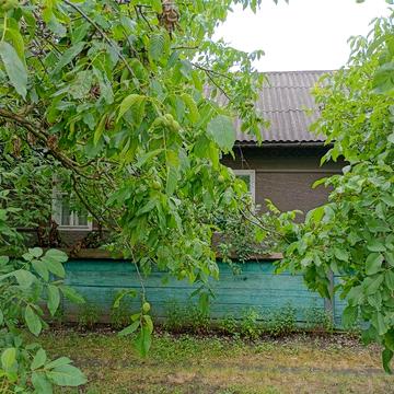 Продам будинок в Чернівецькій області