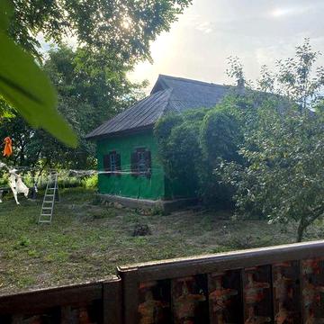 Продам будинок без посеред с.Димерка Чернігівської обл.70 км від Києва
