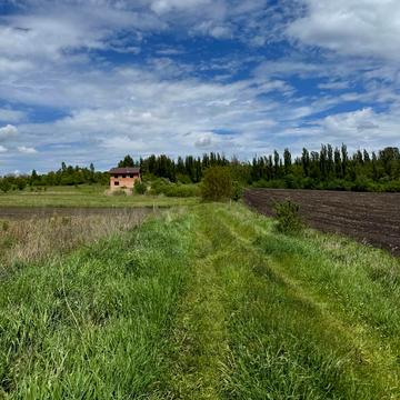 Західно-Окружна вул.