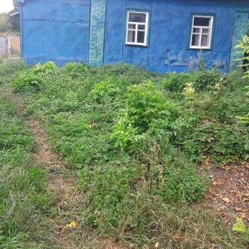 Продаю будинок .