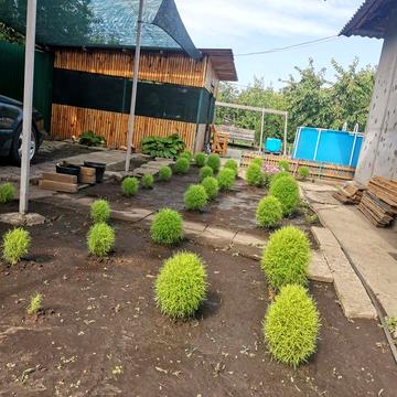 Продам дом в центре Першотравенска (Шахтёрск)