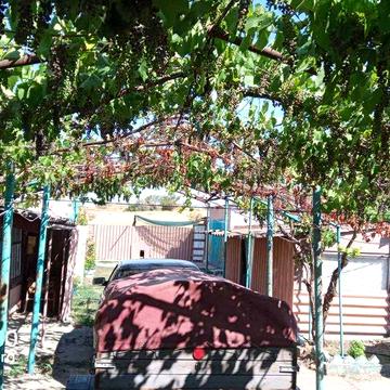 Продається будинок в селі Ряснопіль