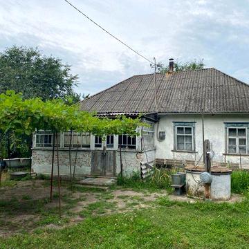 продається садиба. с. Старе. Бориспільський р-н. Київська обл.