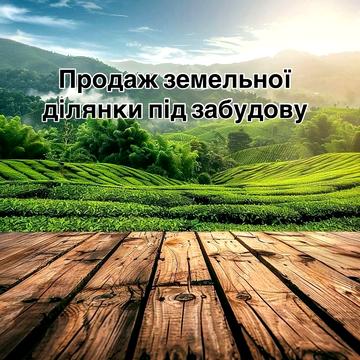вул. Дмитра Багалія, 89