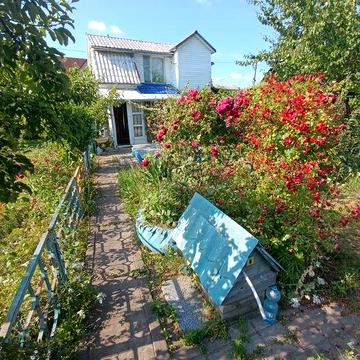 Дача в кооперативі на Коновальця