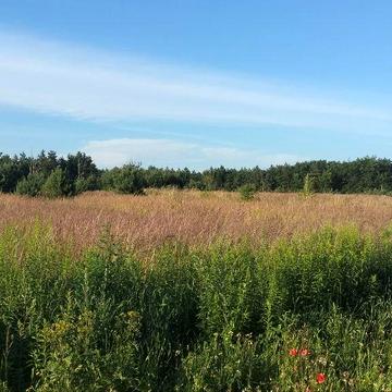 невиявлена