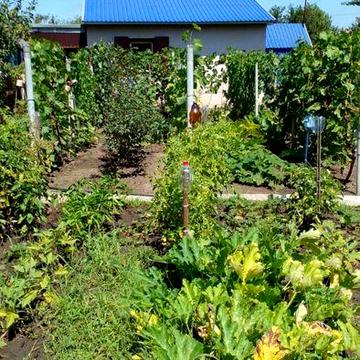 Продаж дачі у місті вул. Істоміна  - будинок, питна вода, світло.
