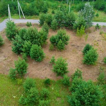 Ясногородка, Фастівський, Київська область 15000.0 USD