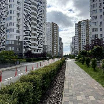 Здам квартиру-студію в ЖК»Савана сіті»