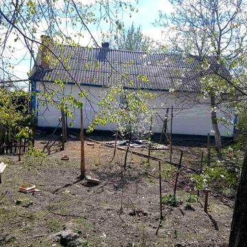 Будинок в селі Камінь