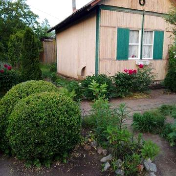 Дача в фастівському районі